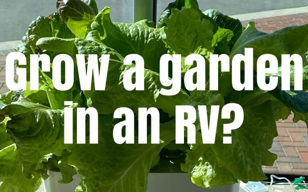 Can you have a garden in your RV?